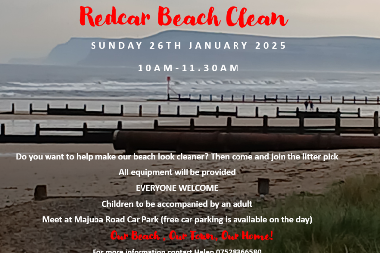 picture of redcar beach with text about the beach clean 